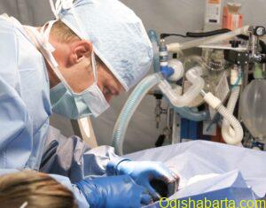 pexels-photo-263210 (1)