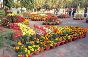 raj_garden
