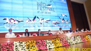 bird-festival