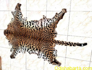 leopard_skin