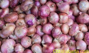 onion