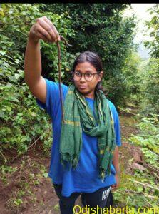Ms. Ayusmita with M. quadripapillatus