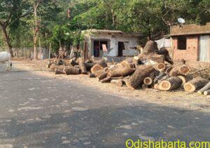 WhatsApp Image 2024-05-30 at 8.33.29 AM