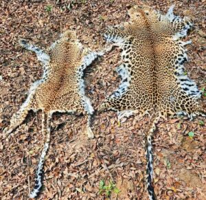 WhatsApp Image 2024-07-30 at 5.55.22 PM