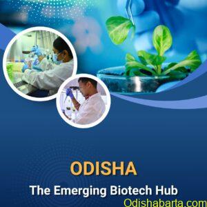 WhatsApp Image 2024-09-10 at 20.47.15_c7708159