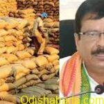 Paddy procurement to begin on Nov 21 in Odisha’s Bargarh: Minister