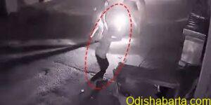 Stray Dog Hacked with Sword in Berhampur, Shocking CCTV Footage Surfaces