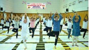 Yellow Black Modern 7 Principles of Design Presentation - 1