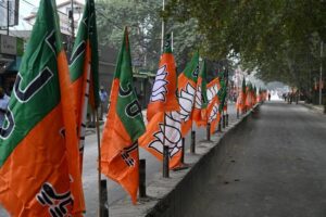 bjp party flaa nationa l party