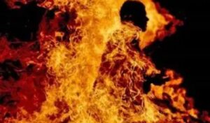 forest-watcher-succum