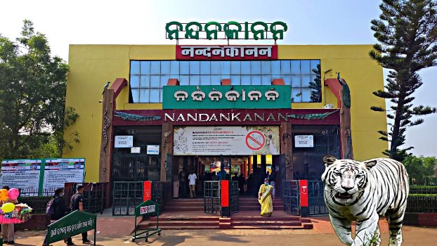 nandan-kanana-ZOO