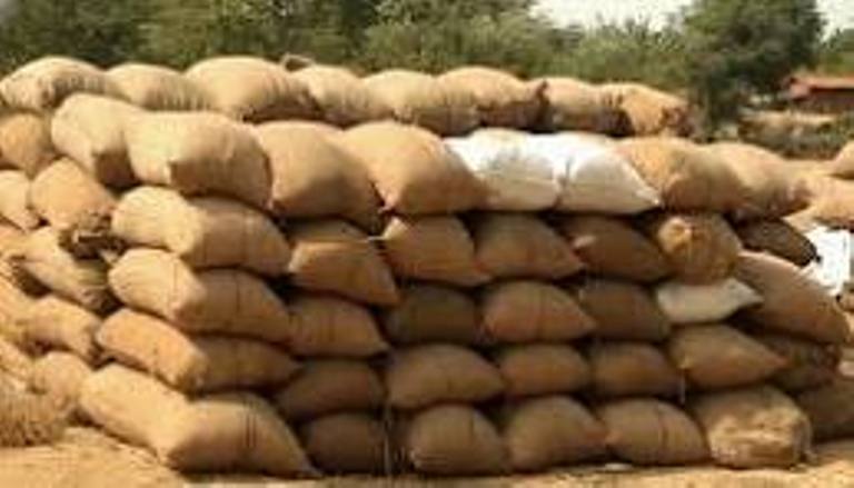 PADDY BAGS