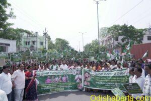 bjd rally
