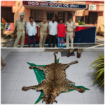 Leopard Skin Seized by Jarada Police; Three Wildlife Criminal  Arrested