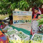 From SHG Strength to Global Markets: Women-Led Collective Reflects Grassroots Power and Subhadra Spirit
