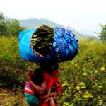 ପ୍ରକୃତି ପାହାଡ଼ର ପ୍ରତିଧ୍ୱନି : କଳାହାଣ୍ଡିର କନ୍ଧ ସମ୍ପ୍ରଦାୟର ଜୀବନଧାରା ଓ ଲୋକପରମ୍ପରା