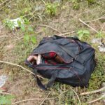 Unidentified woman’s dead body found parcelled in a bag (!)