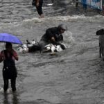 Heavy Rain to Continue Across Odisha as IMD Issues Orange Alert for Five Districts