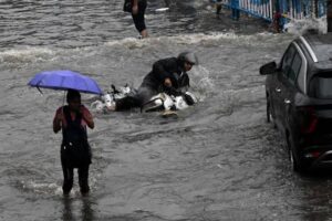 heav rainfall imd
