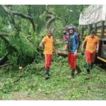 Torrential Rains Paralysing Rayagada: Landslide Halts Train Services, Uprooted Tree Snaps Odisha-AP Road Link for 8 Hours