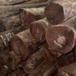105 Kg Sandalwood Worth Over  Rs.10 Lakh Seized in Odisha’s Gajapati